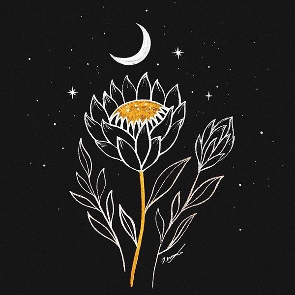 author-avatar