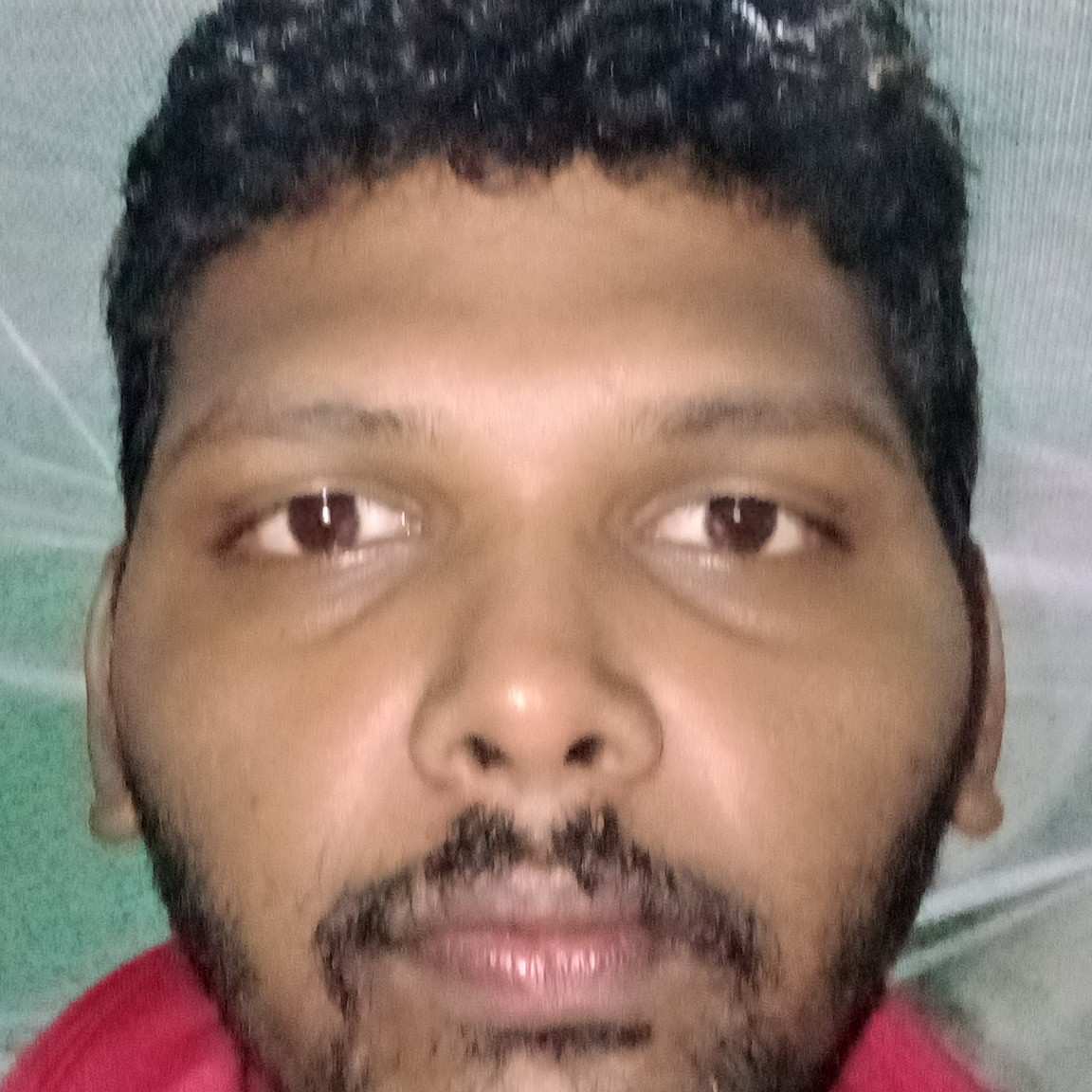author-avatar