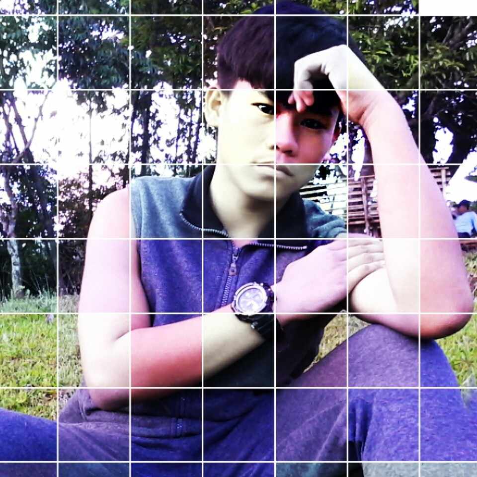 author-avatar