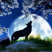 author-avatar