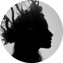 author-avatar