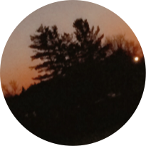 author-avatar
