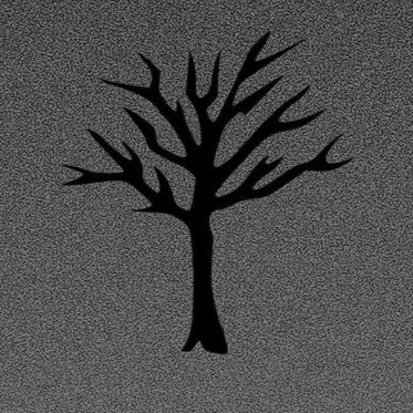 author-avatar