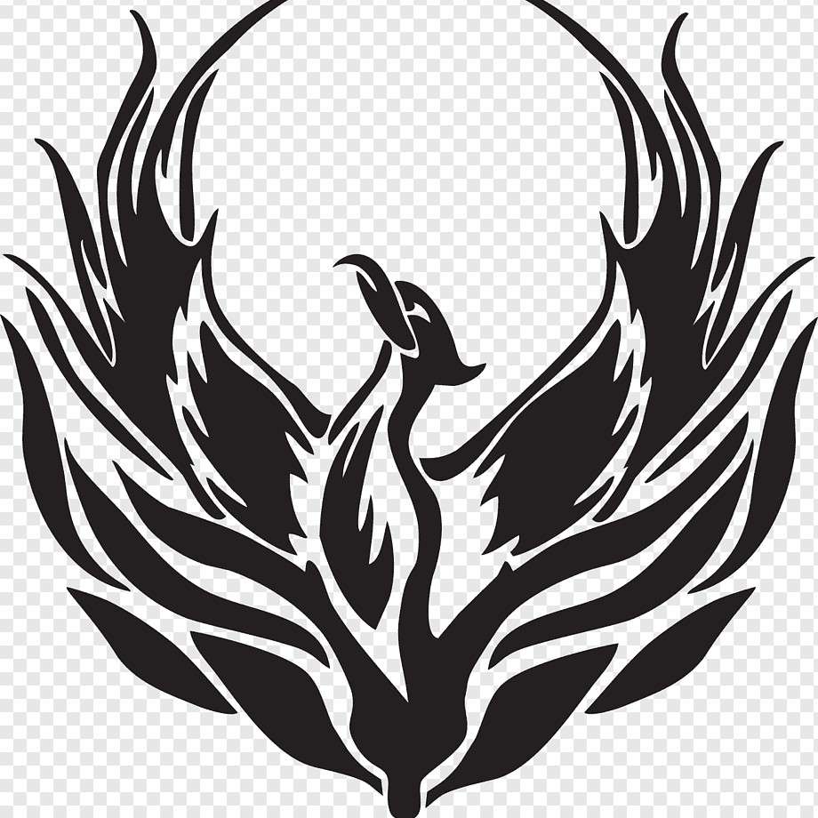 author-avatar