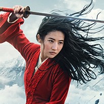 author-avatar