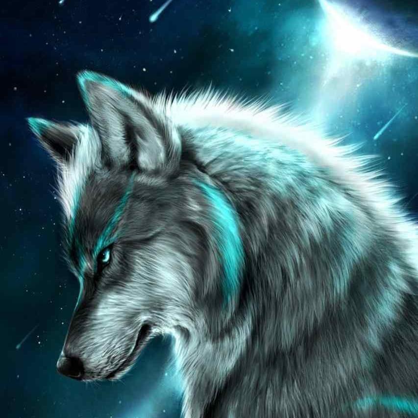 author-avatar