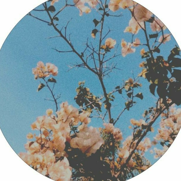 author-avatar