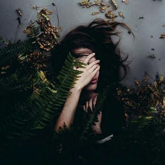 author-avatar