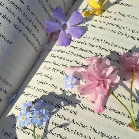 author-avatar