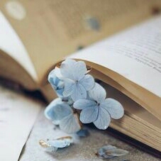 author-avatar