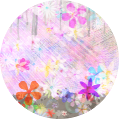 author-avatar