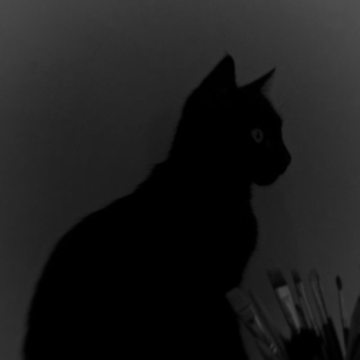 author-avatar