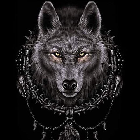author-avatar