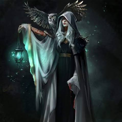 author-avatar