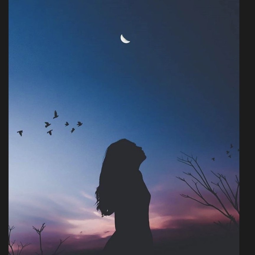 author-avatar