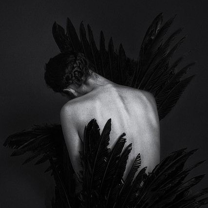 author-avatar