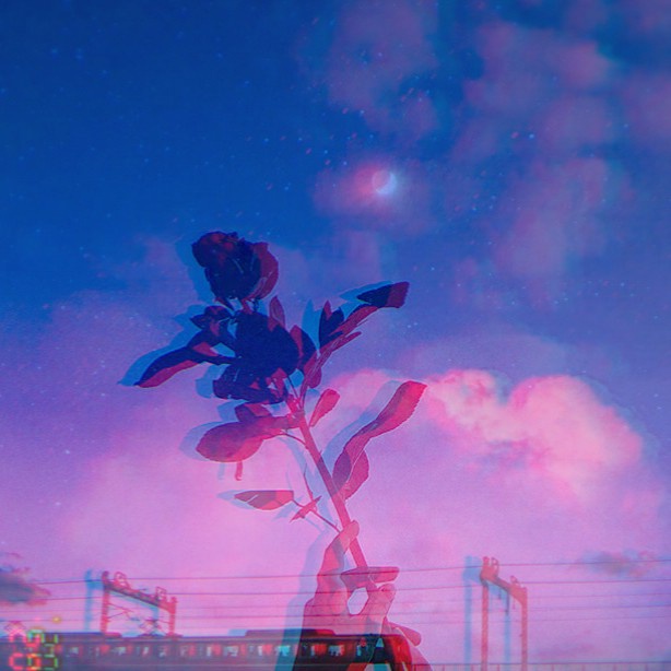 author-avatar