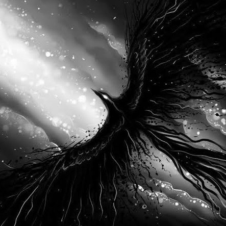 author-avatar