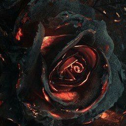 author-avatar