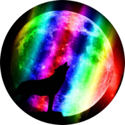 author-avatar