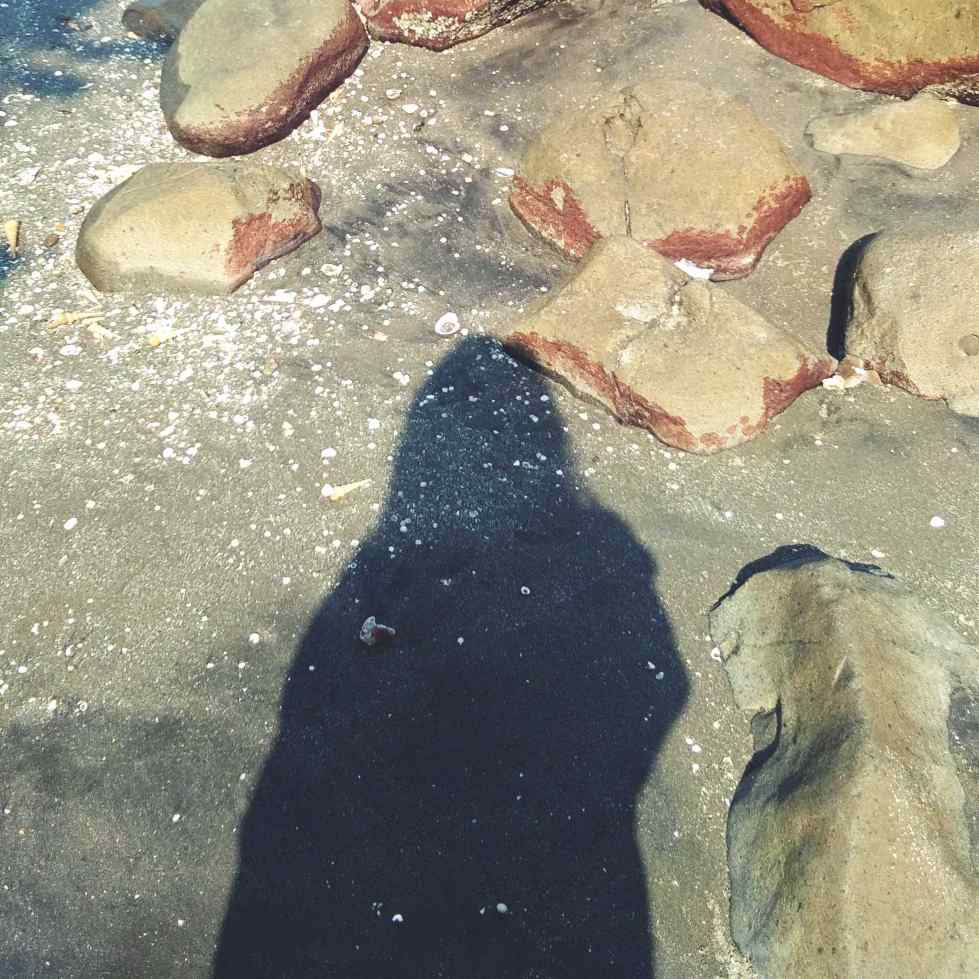 author-avatar