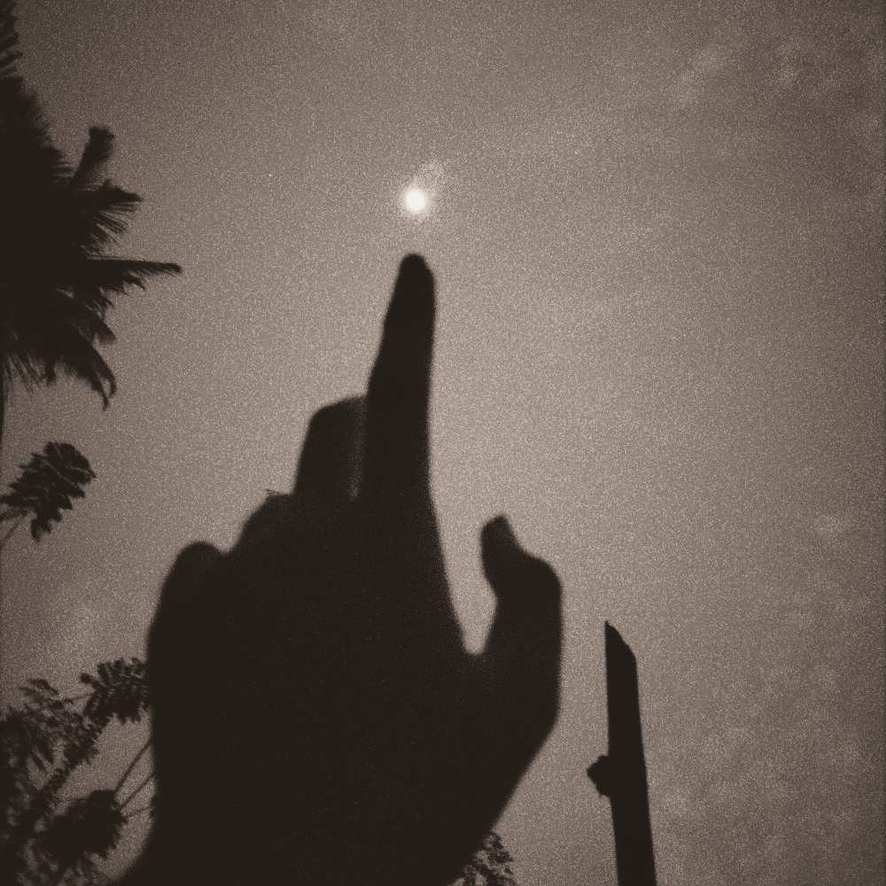 author-avatar