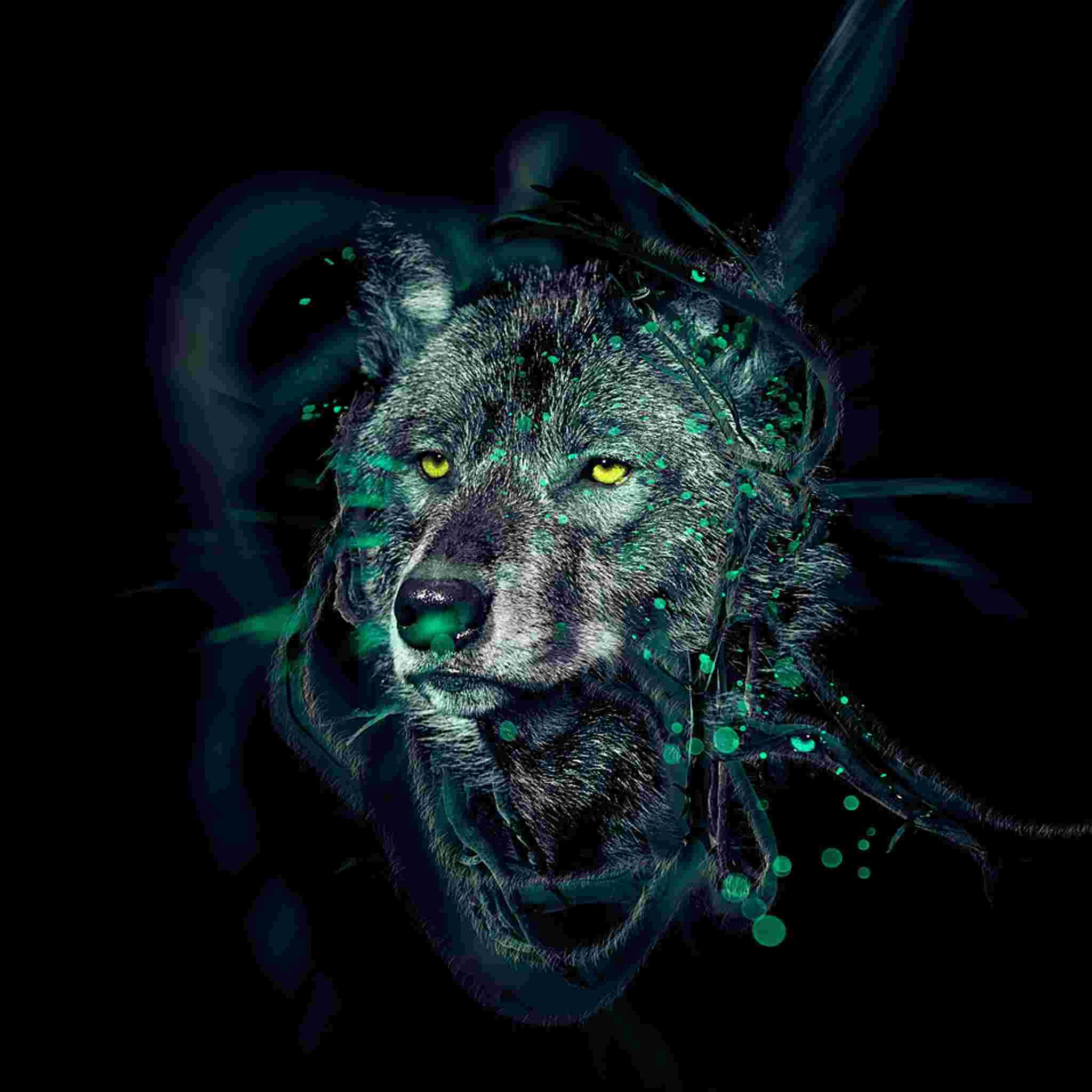 author-avatar