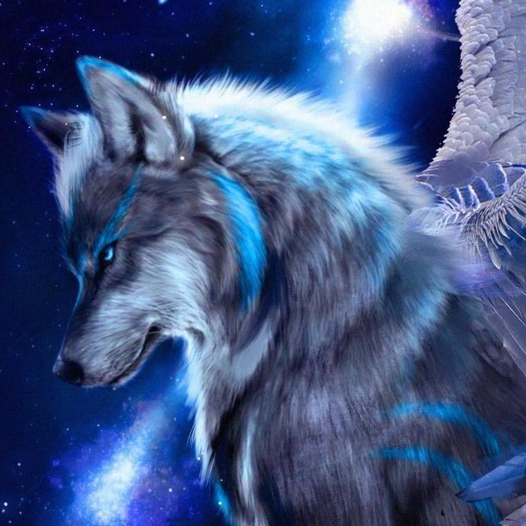 author-avatar