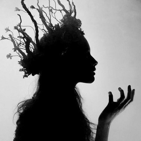 author-avatar
