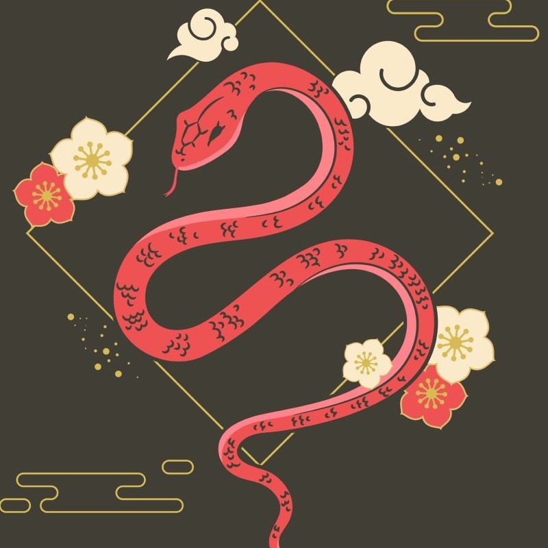 author-avatar