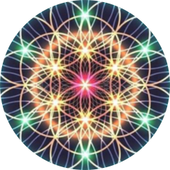 author-avatar