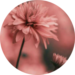 author-avatar