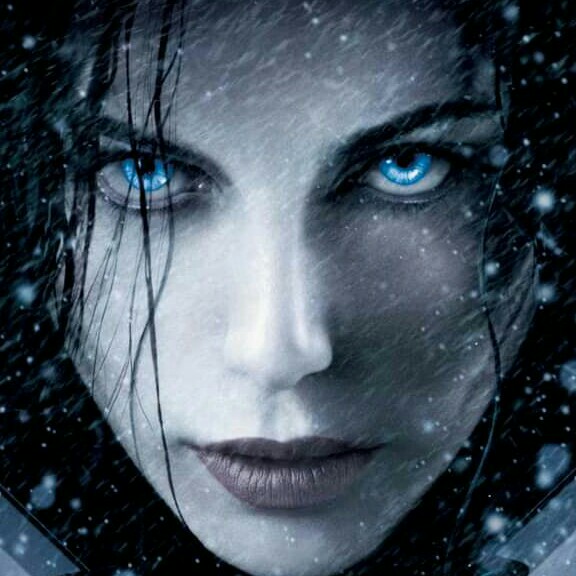 author-avatar