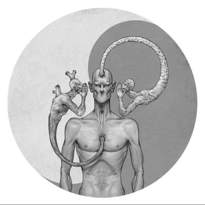 author-avatar