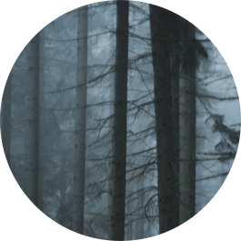 author-avatar