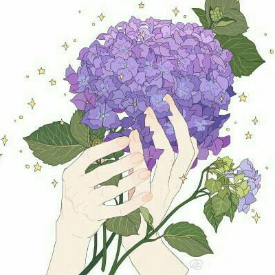 author-avatar
