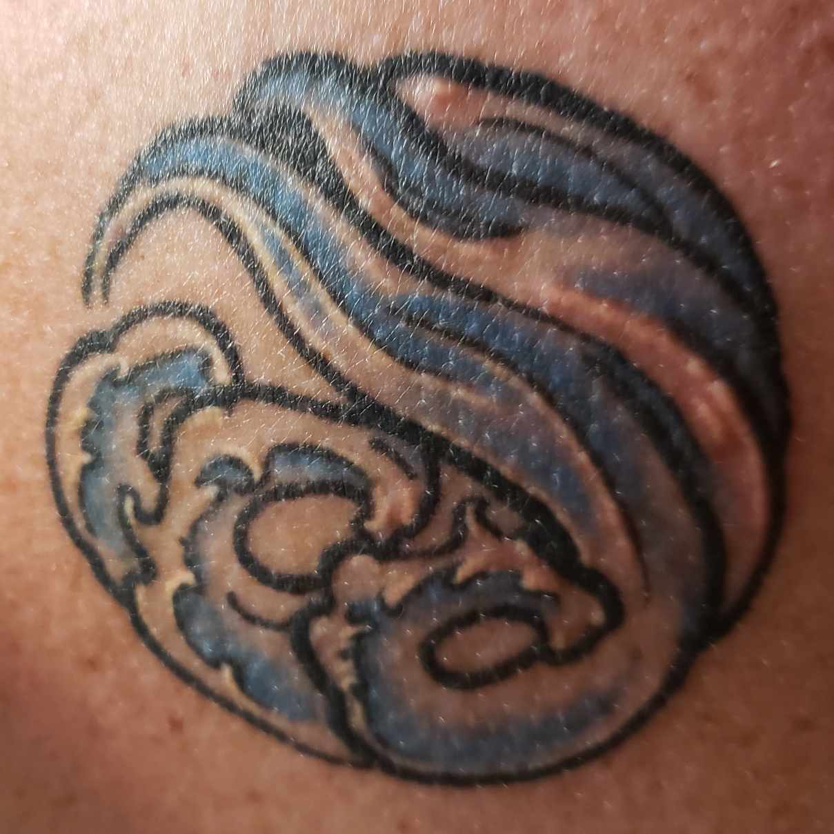 author-avatar