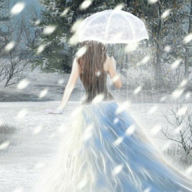 author-avatar