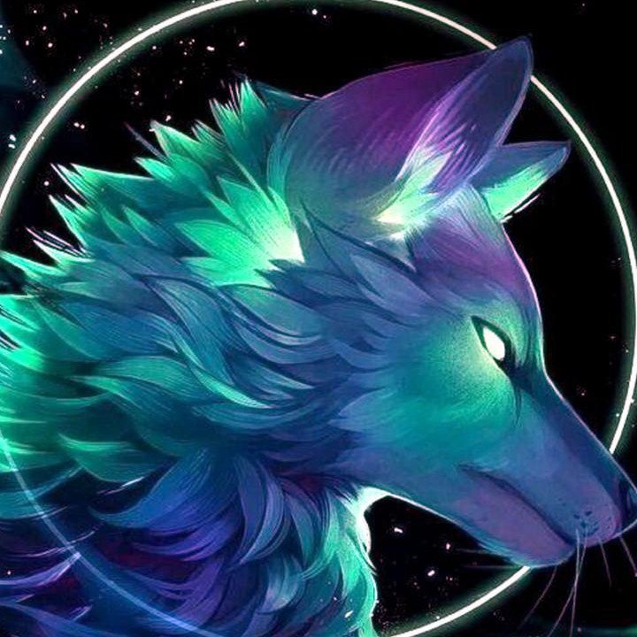 author-avatar