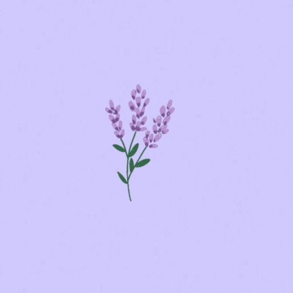author-avatar