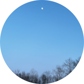 author-avatar