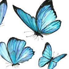 author-avatar