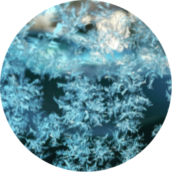 author-avatar