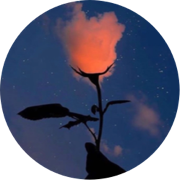 author-avatar
