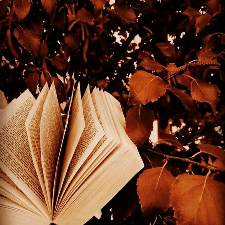 author-avatar