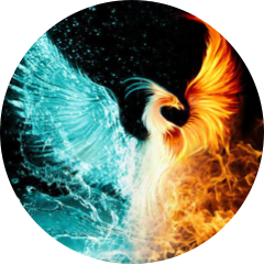 author-avatar
