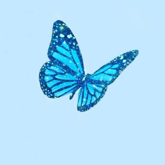 author-avatar