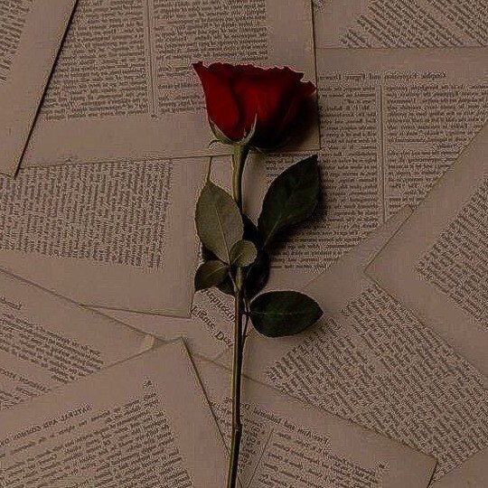 author-avatar