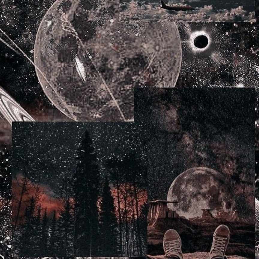 author-avatar