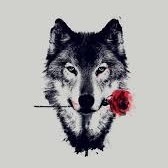 author-avatar